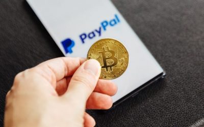 Paypal’s Stock Soars to All Time High as Demand for BTC on the Platform Now More Than Supply of New Coins