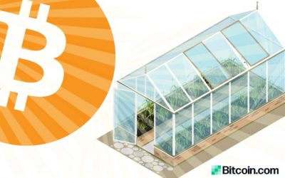 Genesis Mining Is Converting Excess Bitcoin Datacenter Heat Into Greenhouse Power in Sweden