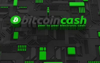 Is Defi Coming to Bitcoin Cash? An Overview of Detoken and the Anyhedge Protocol
