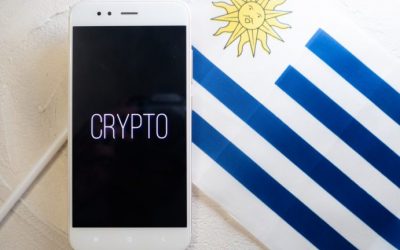 Survey: 1 in 4 Senior Executives in Uruguay Have Used Cryptocurrencies