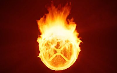 XRP Crash Burns Other Crypto Asset Values, BTC Price Remains Unscathed