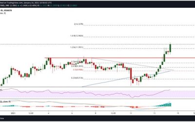 Polkadot (DOT) surges 35% to a record high above $12.00