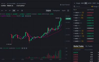 Binance Coin trading above its ATH as 14th burn draws near