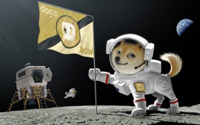 Dogecoin Price Skyrockets 325%, Crypto Fueled by Elon Tweets and Redditors