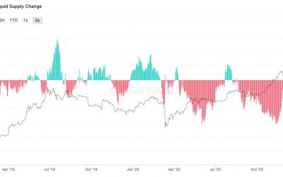 Bitcoin Whales Grow After Price Bottoms, Analyst Says ‘Coins Are Moving to Very Strong Holders’