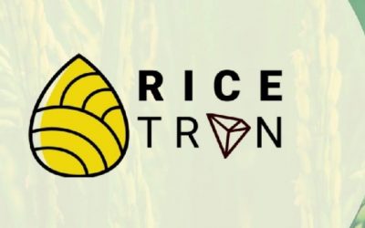 Rice-Based Stablecoin Is Being Launched in Indonesia