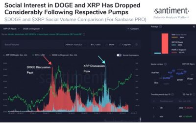 Dogecoin price capped below $0.033 as social interest cools