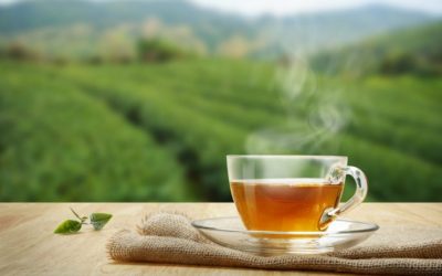 Chinese Tea Retailer Joins the Crypto Mining Industry After Hiring Two Roles to Lead Its ‘Bitcoin Business Plan’