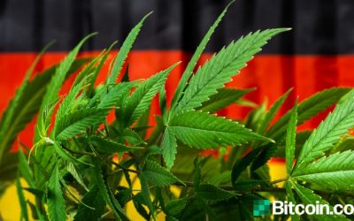 German Cannabis Firm Hedges Bitcoin to Protect from Massive Currency Devaluation