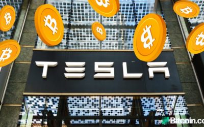 Analysts Expect Flood of Companies to Follow Tesla and Hold Bitcoin —Twitter Already Considering