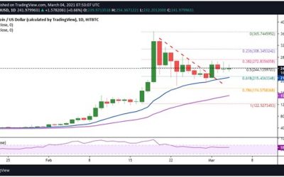 Binance coin price analysis: BNB bulls seek fresh impetus above $240