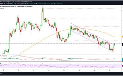 Binance Coin Price Analysis: BNB sell-off eases as bulls target $260