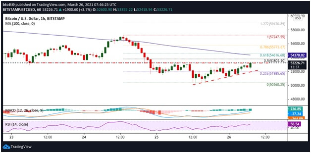 crypto options expire