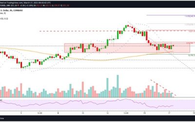 Litecoin price recovers above $200: What next for LTC?