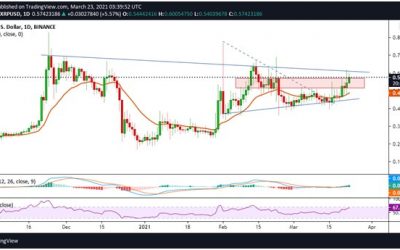 XRP price rallies to $0.60 amid a “RelistXRP” campaign