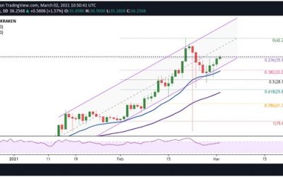 Polkadot (DOT) bulls target $42 after a strong bounce off support