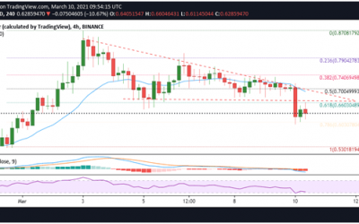 NEM (XEM) price retraces by 12% despite Symbol airdrop