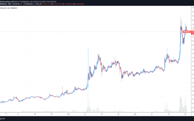 Gambling tokens hit the jackpot as COVID-19 lockdowns drag on