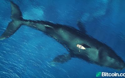 Mystery Whale Moves 20 Bitcoin Block Rewards from 2010, Entity Moved 10,000 BTC Since Last Year