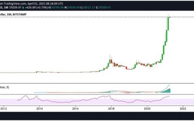 Bitcoin records sixth straight monthly green candle: What’s BTC’s price outlook?