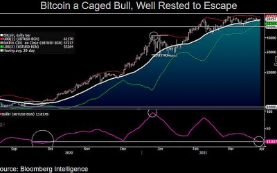 Bitcoin is ‘caged bull’ ready to escape at $60K — Bloomberg Intelligence