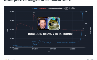 DOGE out of control? Social media and whales sway Dogecoin price action