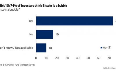 Nearly 75% of professional investors see Bitcoin as bubble: survey