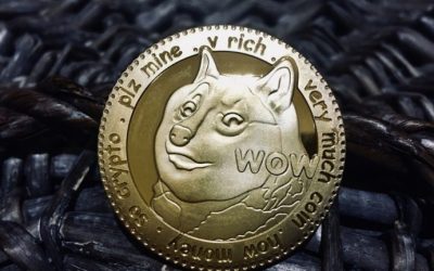 Anonymous Dogecoin Holder Donates Profits to a Dog Shelter in Florida