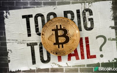 Economist Says Bitcoin Isn’t Too Big to Fail — Warns BTC Can Only Establish Itself if Governments Allow It