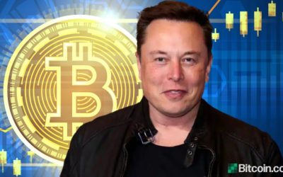 Elon Musk Confirms He Owns Bitcoin, Has Not Sold Any  — Tesla Intends to Hold BTC Long Term, Sold Some to Prove Liquidity