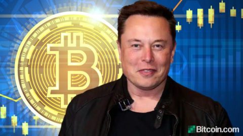 Elon Musk Confirms He Owns Bitcoin, Has Not Sold Any — Tesla Intends to Hold BTC Long Term, Sold