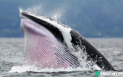 Whales Move Over $4 Billion in BTC During Sunday’s Market Carnage, 150 Bitcoin from 2010 Spent