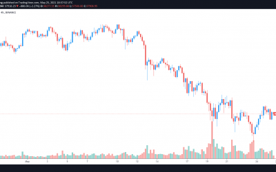 Amid rising stablecoin inflow, cautious traders fear a dead cat bounce