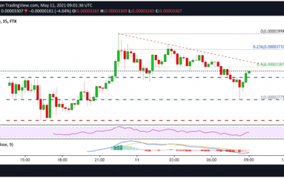 SHIBA INU price: Meme Coin Pumps 20X on Binance Listing