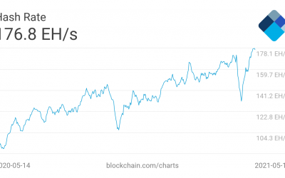 3 reasons why Bitcoin doesn’t care about Elon Musk