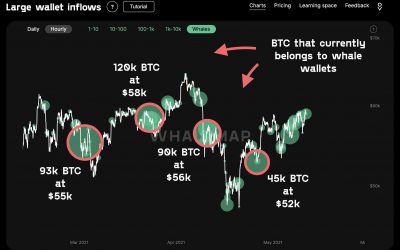 Bitcoin bull run won’t end ‘any time soon’ as whale buying hints at new $52K floor