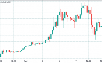 Dogecoin price dumps, but whodunnit? Whales, institutions or retail traders?