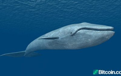 Mystery Bitcoin Whale from 2010 Disappears, Dormant Address from 2013 Sees Strange Activity