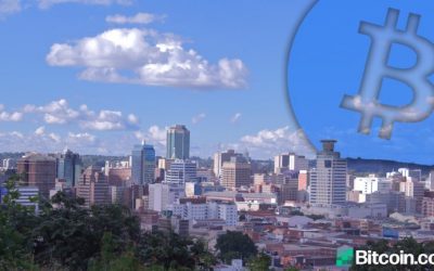 Zimbabwean Fintech Lawyer and Proponent Pushes for Crypto Regulation via Private Legislative Bill