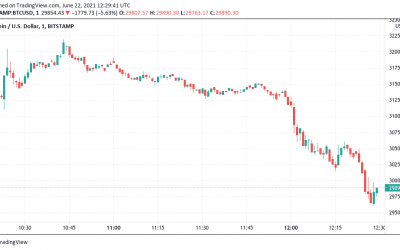 Bitcoin drops below $30K to 6-month lows: Watch these next price support levels