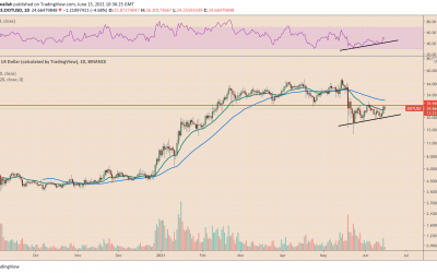 Polkadot price soars 37% after Coinbase Pro DOT listing, first parachain auction