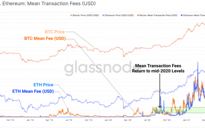 Bitcoin price is fragile, but on-chain data points to fresh accumulation