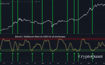 A Bitcoin indicator with a ‘perfect’ history just told you to buy the dip