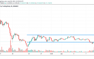 Dash Price Prediction for June 2021