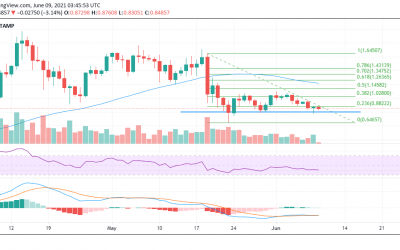 Ripple Price Prediction for June 2021