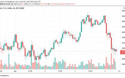 Bloomberg report calls Bitcoin ‘refreshed and discounted’ as BTC price bounces at $36K