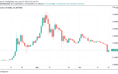 ‘Say something, Elon Musk!’ Dogecoin sheds $70B in market cap since SNL