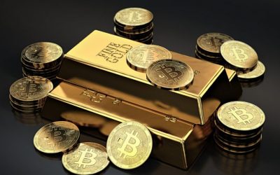 Skybridge Capital Says Bitcoin Still Has More Upside Than Gold