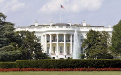 White House Tech Advisor Tim Wu Keeps at Least $1 Million in Bitcoin