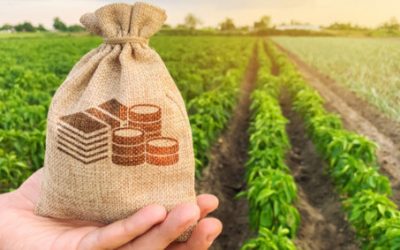 Where to buy Harvest Finance: FARM up by 88% this week